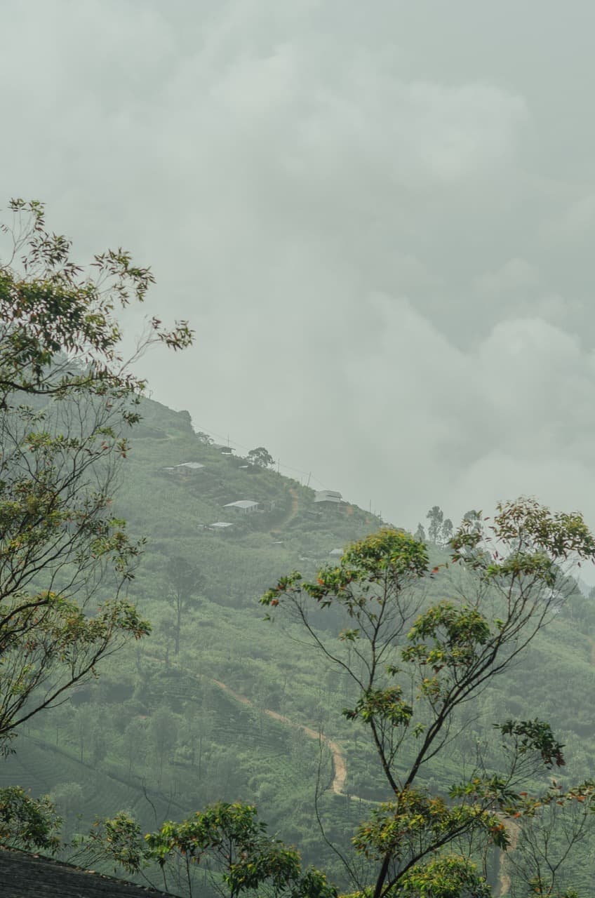 Превью Sri Lanka 2022